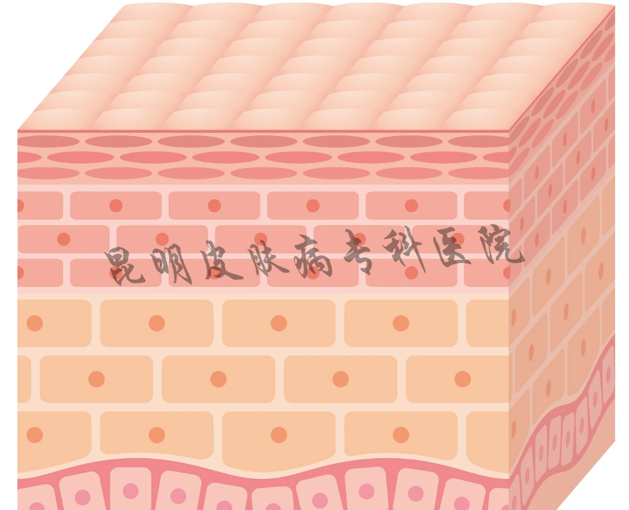 1631264694444960.png c587d1055058e534e48389bcf170cad.png