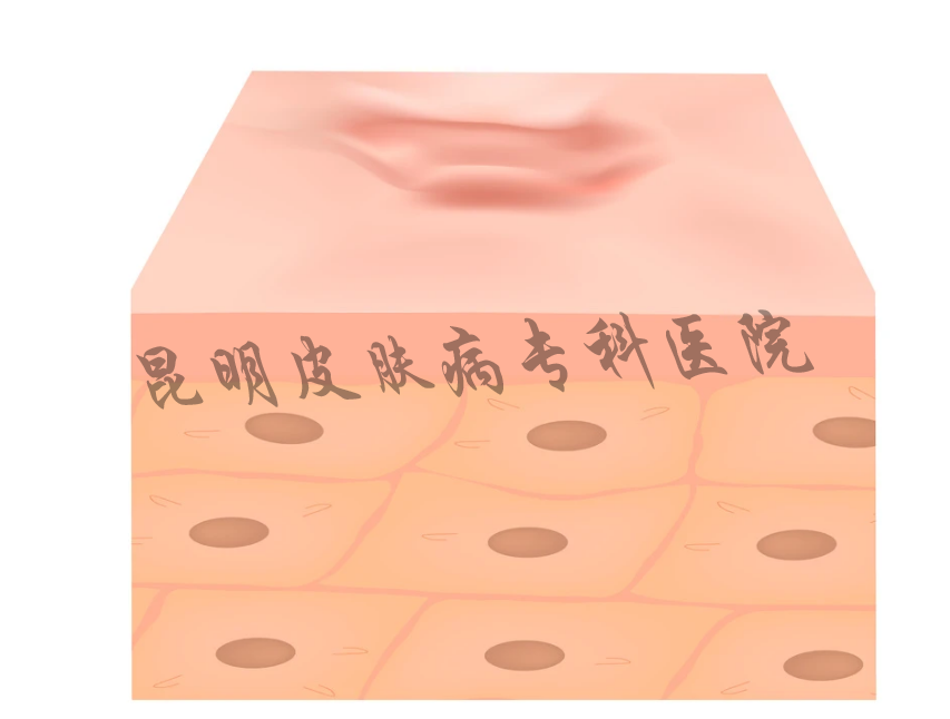 1631264652531083.png a599bf7f35a08aee442d0094d3cfb02.png